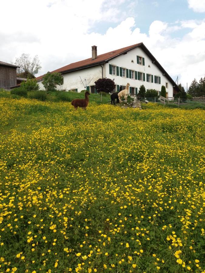 Ferme O'Cles Apartment Le Peuchapatte Bagian luar foto